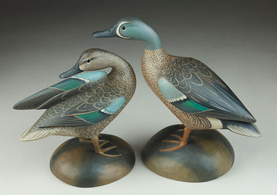 Standing Blue Wing Teal decoy